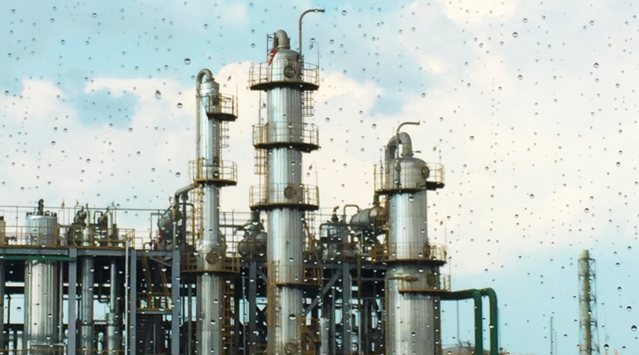 東部化工區(qū)，跳出一只“瞪羚”